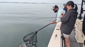 Partnering with Charter Boat Captains: Hook and Line surveys for black sea bass